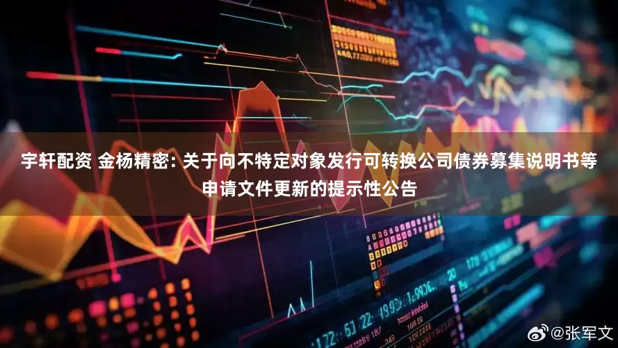 宇轩配资 金杨精密: 关于向不特定对象发行可转换公司债券募集说明书等申请文件更新的提示性公告